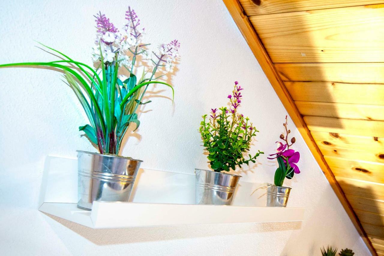 Apartmán La Mansarda Di Emma Pinzolo Exteriér fotografie