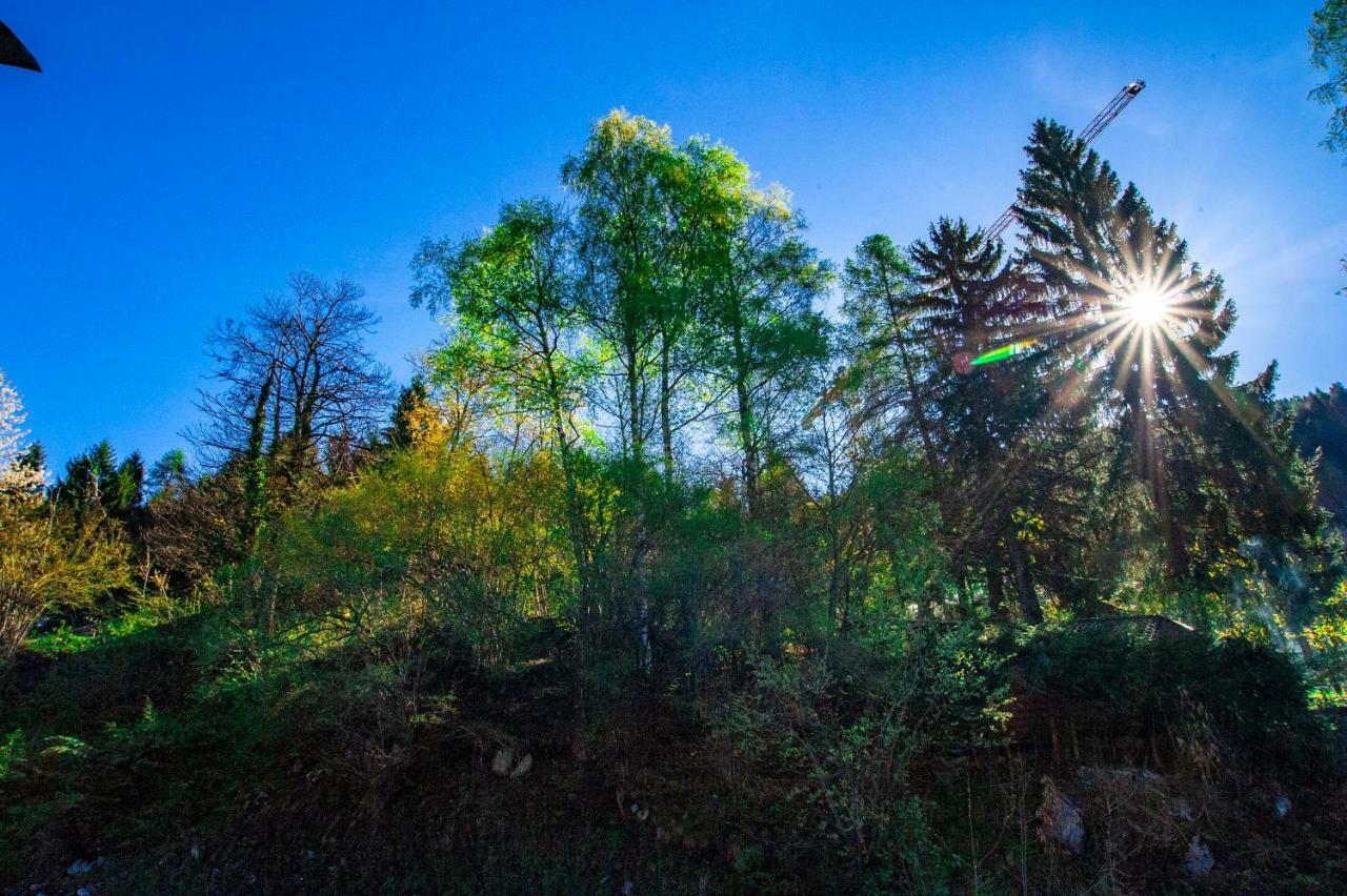 Apartmán La Mansarda Di Emma Pinzolo Exteriér fotografie